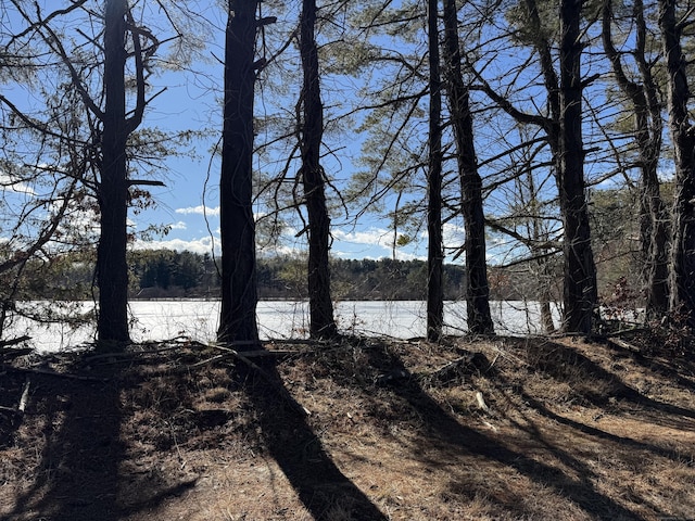 view of water feature with a wooded view