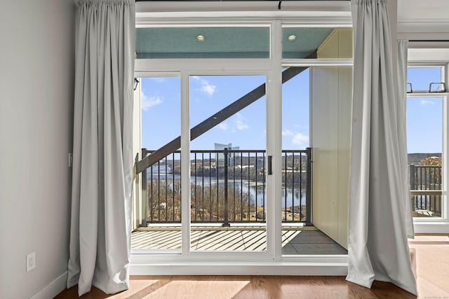 entryway featuring wood finished floors