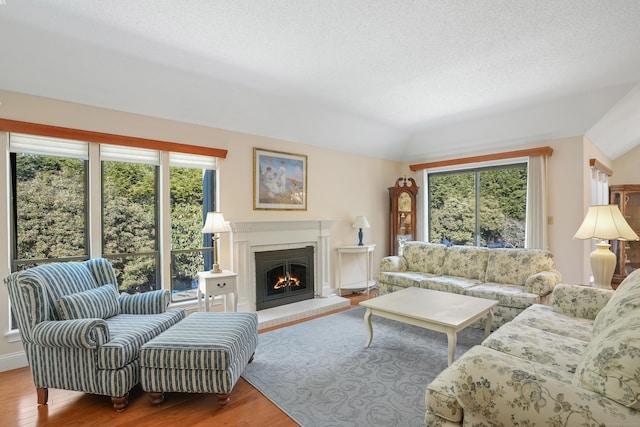 living room featuring a fireplace, plenty of natural light, a textured ceiling, and wood finished floors