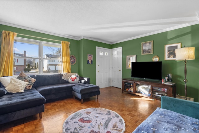 living area featuring crown molding and a textured ceiling