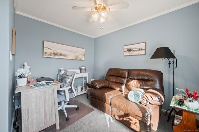 office featuring carpet, a ceiling fan, and crown molding