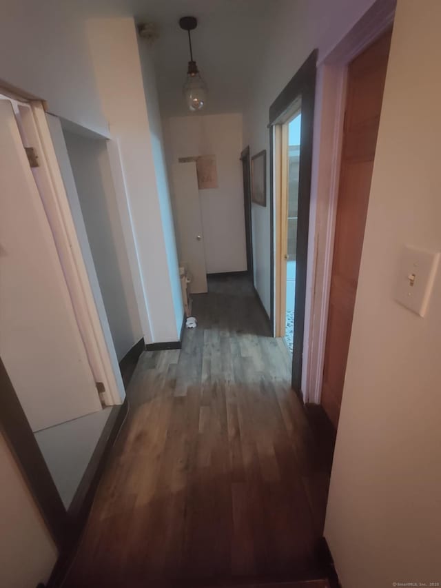 hallway featuring wood finished floors