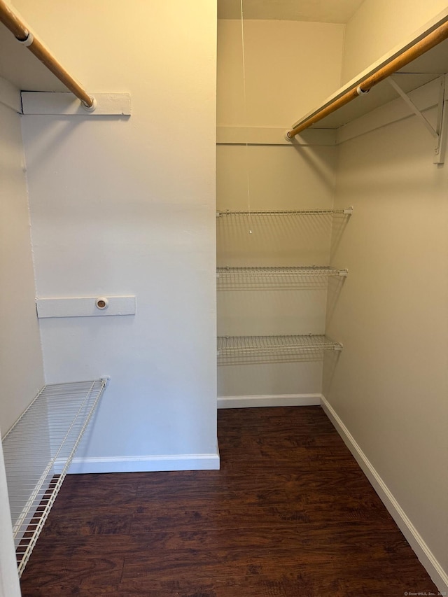 spacious closet featuring wood finished floors