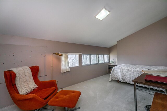 55 Westwood Dr, Middlebury, CT 06762 - photo 21