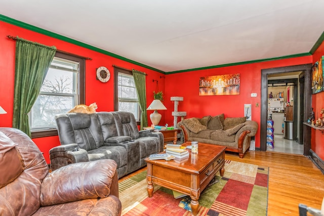 living area featuring ornamental molding and wood finished floors