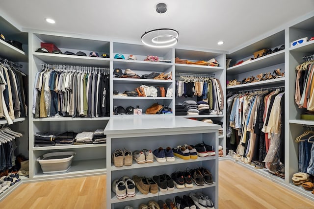walk in closet featuring wood finished floors
