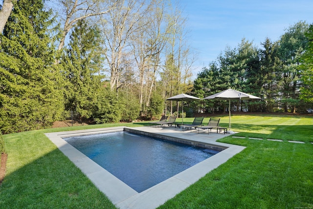 outdoor pool featuring a patio area and a lawn