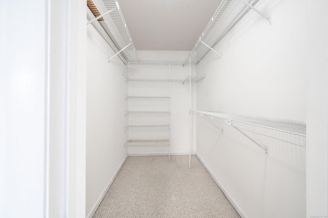 view of walk in closet