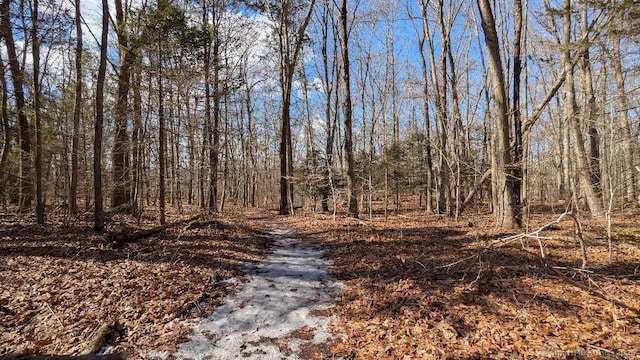 Listing photo 3 for LOT7A Long Hill Rd, East Hampton CT 06424