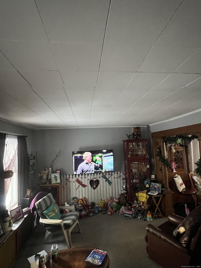 living room featuring carpet