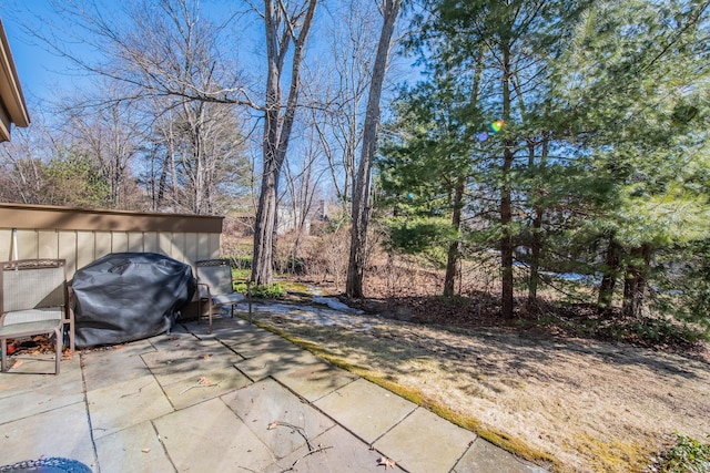 view of patio / terrace featuring area for grilling