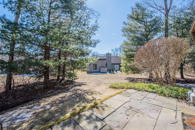 view of yard featuring a patio area