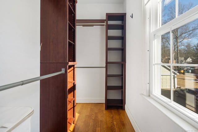 spacious closet featuring wood finished floors