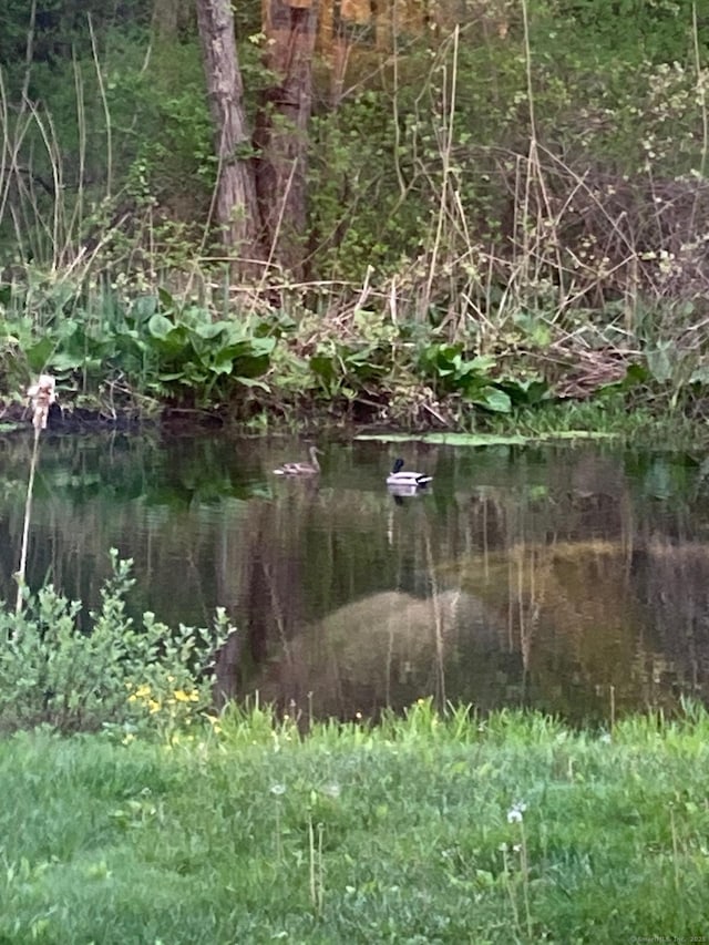 view of landscape with a water view