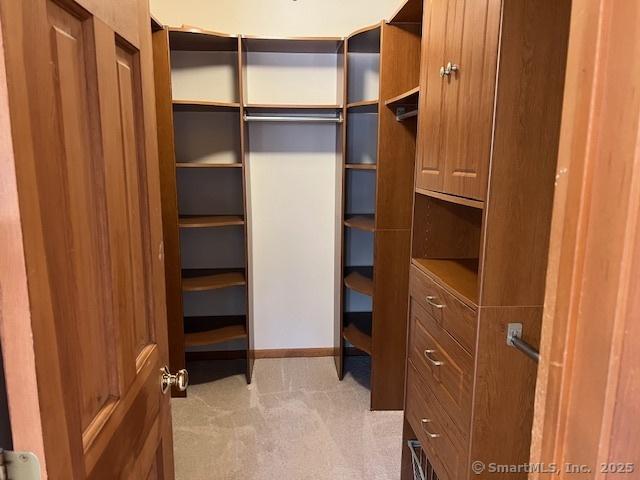 walk in closet featuring light colored carpet