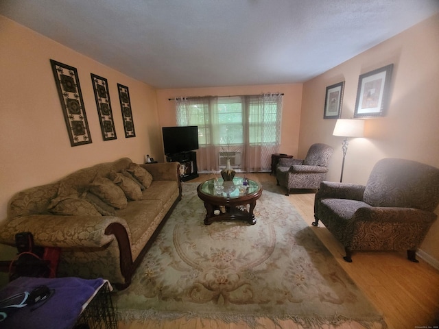 living area with wood finished floors