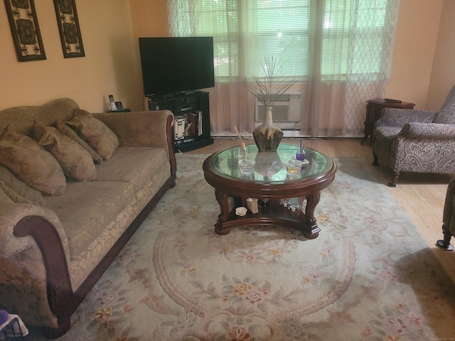 living area featuring wood finished floors