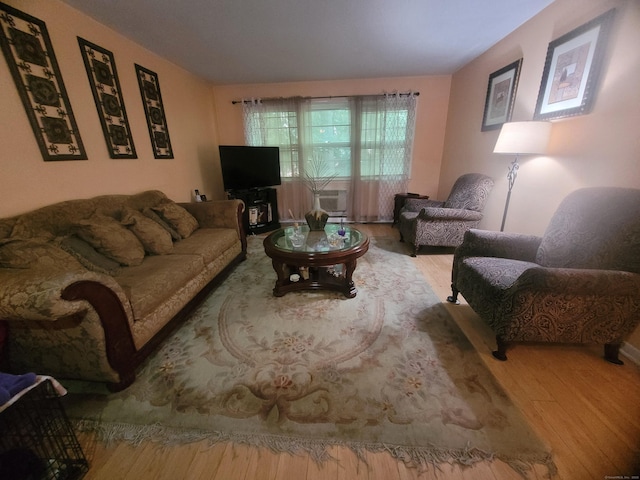 living area with wood finished floors