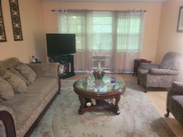 living area with wood finished floors