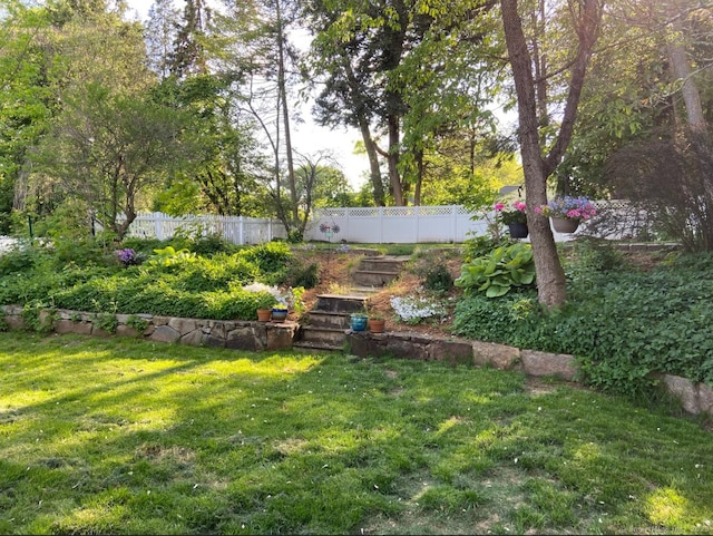 view of yard with a fenced backyard