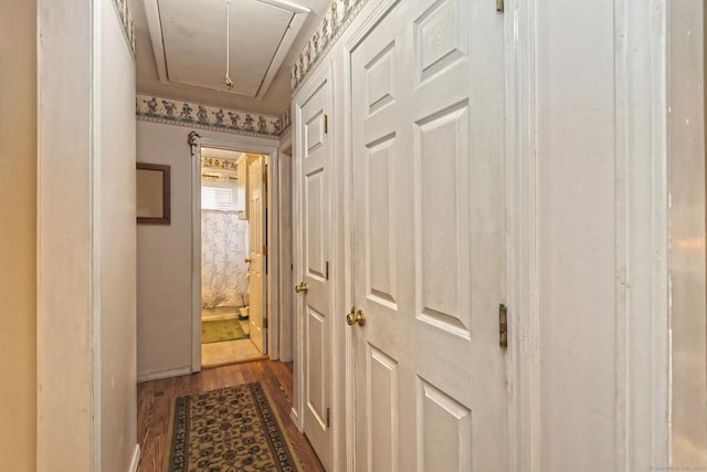 hallway featuring dark wood-style floors and attic access