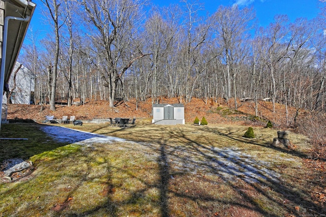 view of yard with an outbuilding and a storage shed