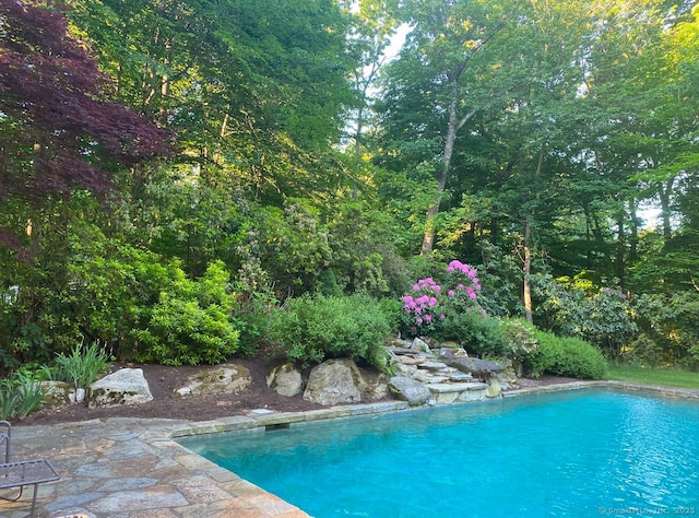 view of outdoor pool