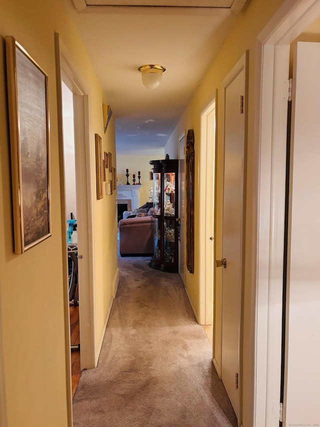 corridor featuring carpet floors