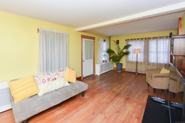 living room with baseboards and wood finished floors