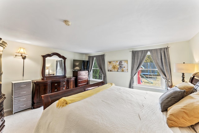 bedroom with carpet floors and multiple windows