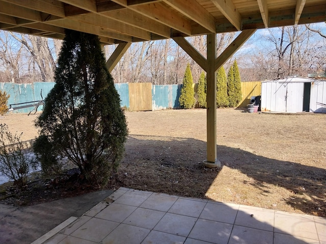 view of yard with a patio, a storage unit, an outdoor structure, and a fenced backyard