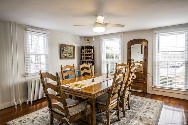 dining space with radiator, ceiling fan, and wood finished floors