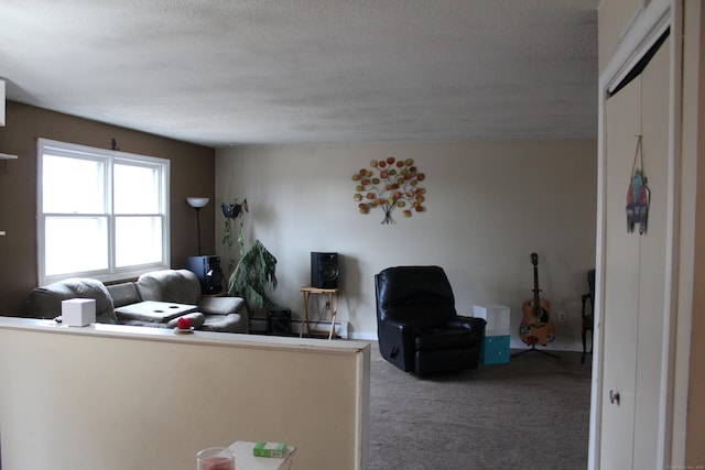 living area with a textured ceiling and carpet