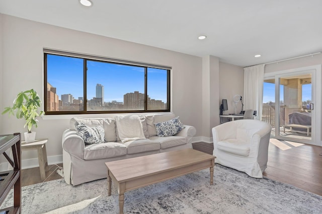 living room featuring baseboards, plenty of natural light, wood finished floors, and a city view