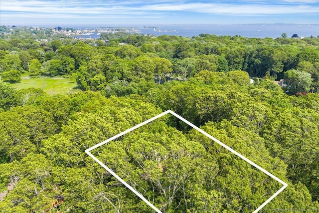 37 Skyline Dr, Groton, CT 06340 - aerial view of property's location with a heavily wooded area and property boundaries highlighted
