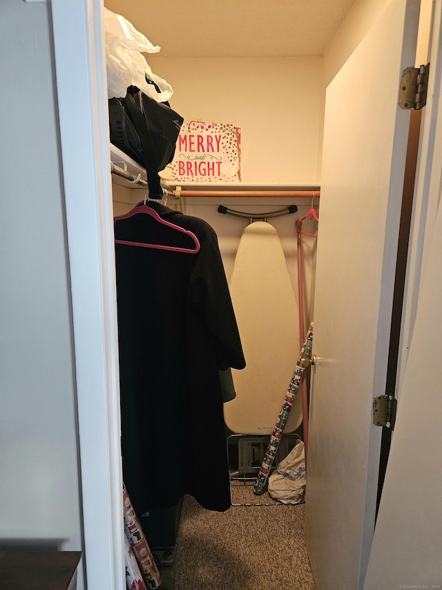 walk in closet featuring carpet floors