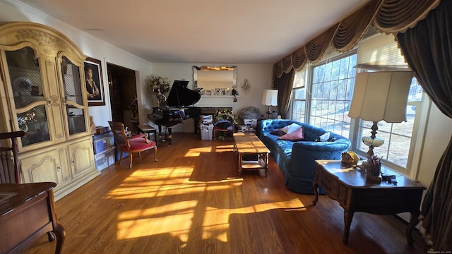 living room featuring crown molding and wood finished floors