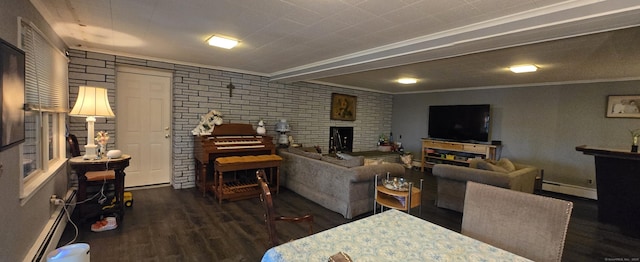 living area with a baseboard radiator, wood finished floors, a fireplace, and crown molding
