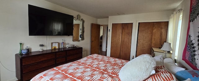 bedroom featuring multiple closets