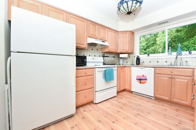 333 Vincellette St Unit 16, Bridgeport, CT 06606 - kitchen with white appliances, light brown cabinetry, under cabinet range hood, a sink, and light wood-style flooring