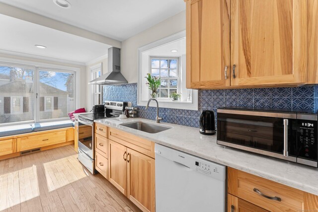 kitchen featuring tasteful backsplash, appliances with stainless steel finishes, light wood-style floors, wall chimney exhaust hood, and a sink