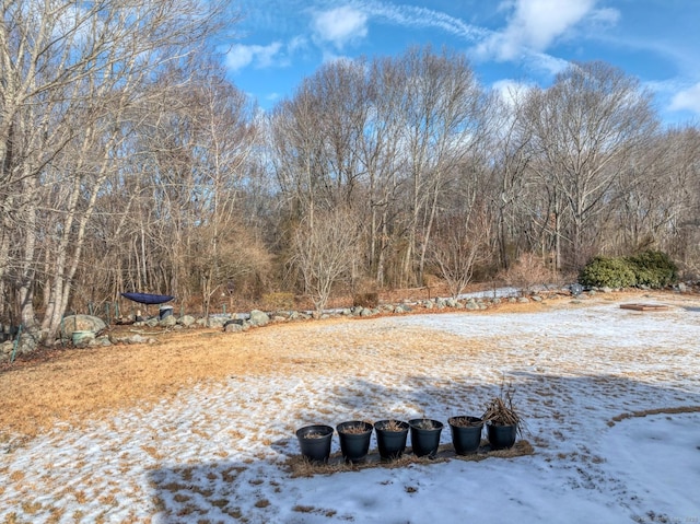 view of snowy yard