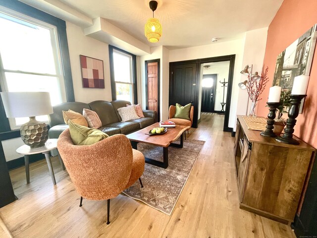 living room with light wood-style flooring