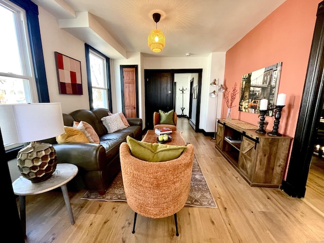 living area featuring light wood finished floors