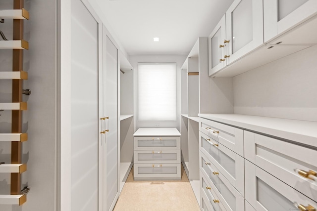 view of walk in closet