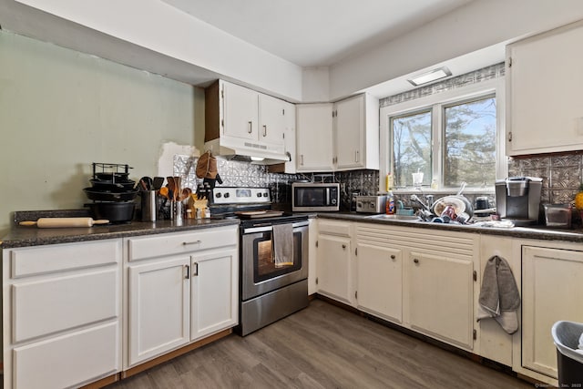 kitchen featuring under cabinet range hood, appliances with stainless steel finishes, decorative backsplash, and a sink