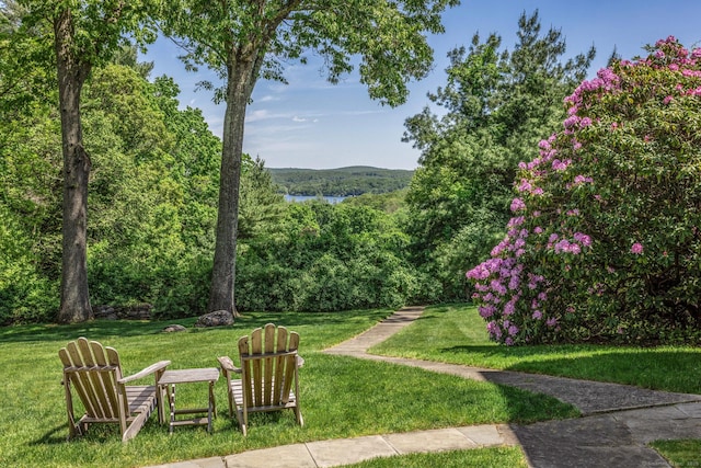 view of yard featuring a water view and a forest view