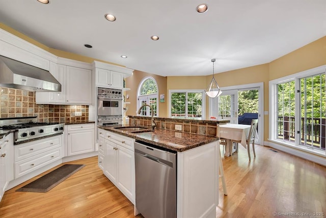 kitchen featuring light wood finished floors, stainless steel appliances, tasteful backsplash, a sink, and wall chimney exhaust hood