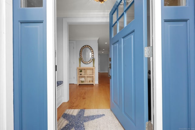 interior space featuring wood finished floors and ornamental molding