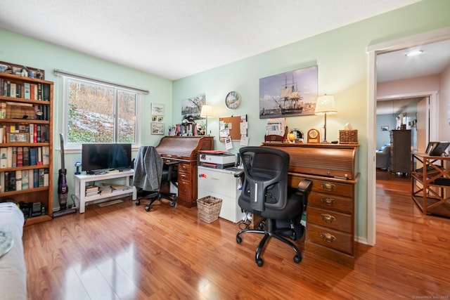 office area featuring wood finished floors